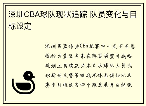 深圳CBA球队现状追踪 队员变化与目标设定